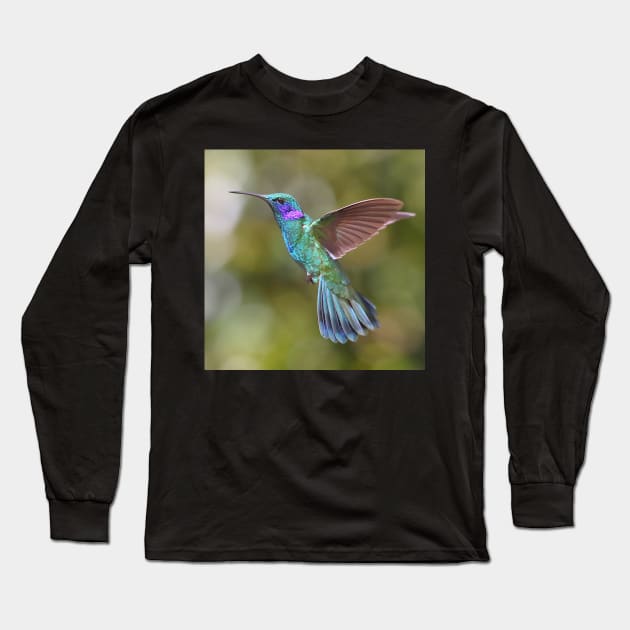 Green Violetear Hummingbird Long Sleeve T-Shirt by Carole-Anne